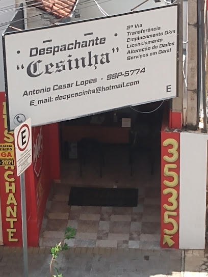 Cesinha Despachante em São José do Rio Preto - SP