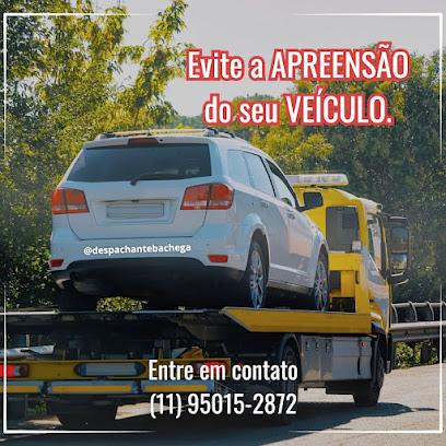 Foto do Despachante Bachega em São Paulo - SP