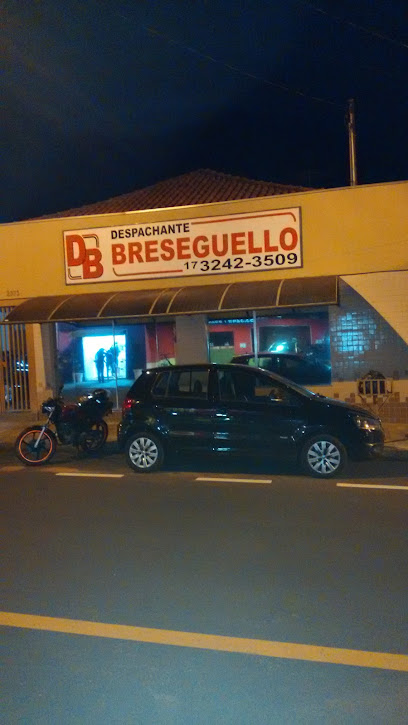 Despachante Breseguelo em Mirassol - SP
