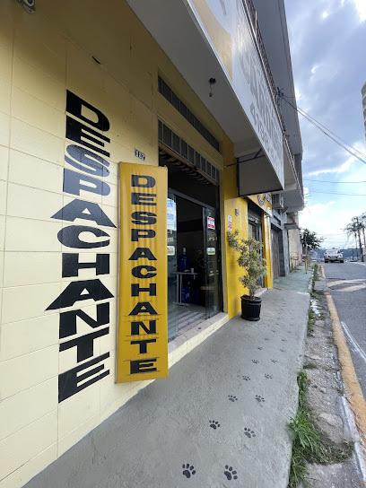 Foto do Despachante Cardoso em Barueri - SP